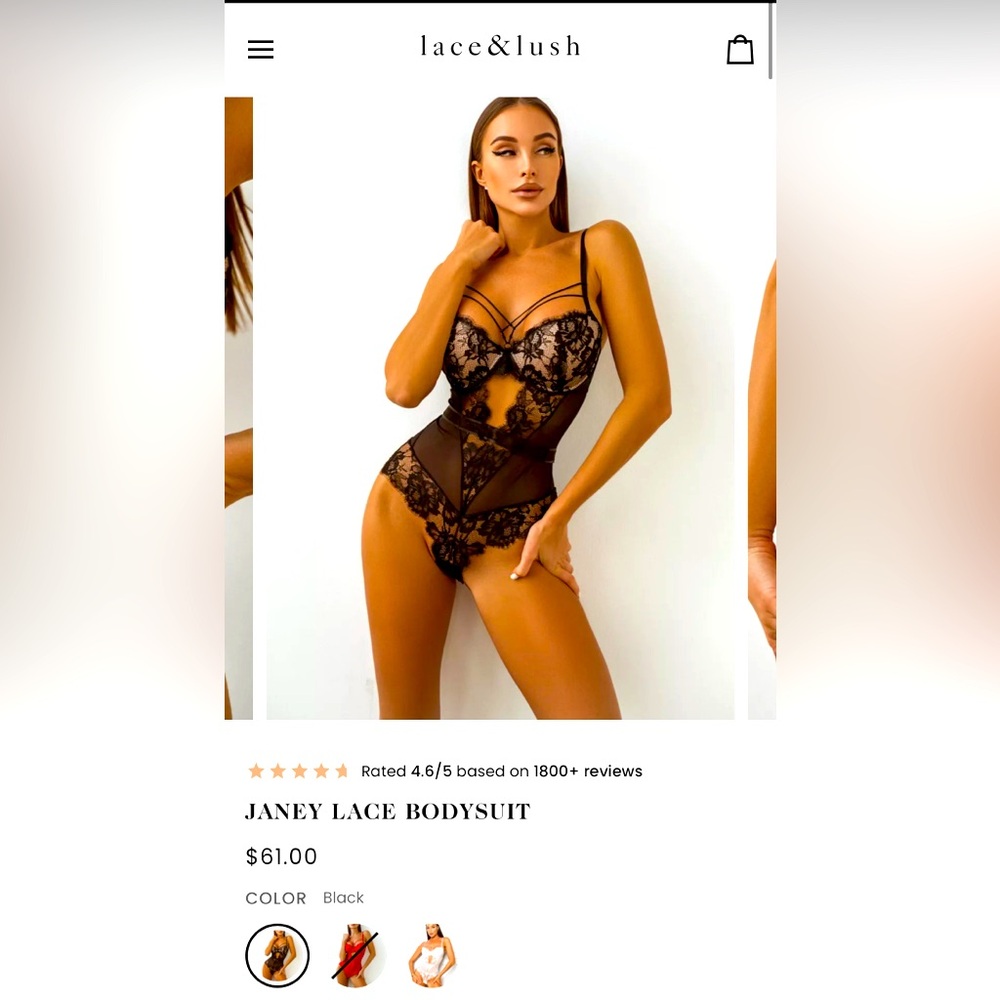 Lace & Lush Black Lace Bodysuit